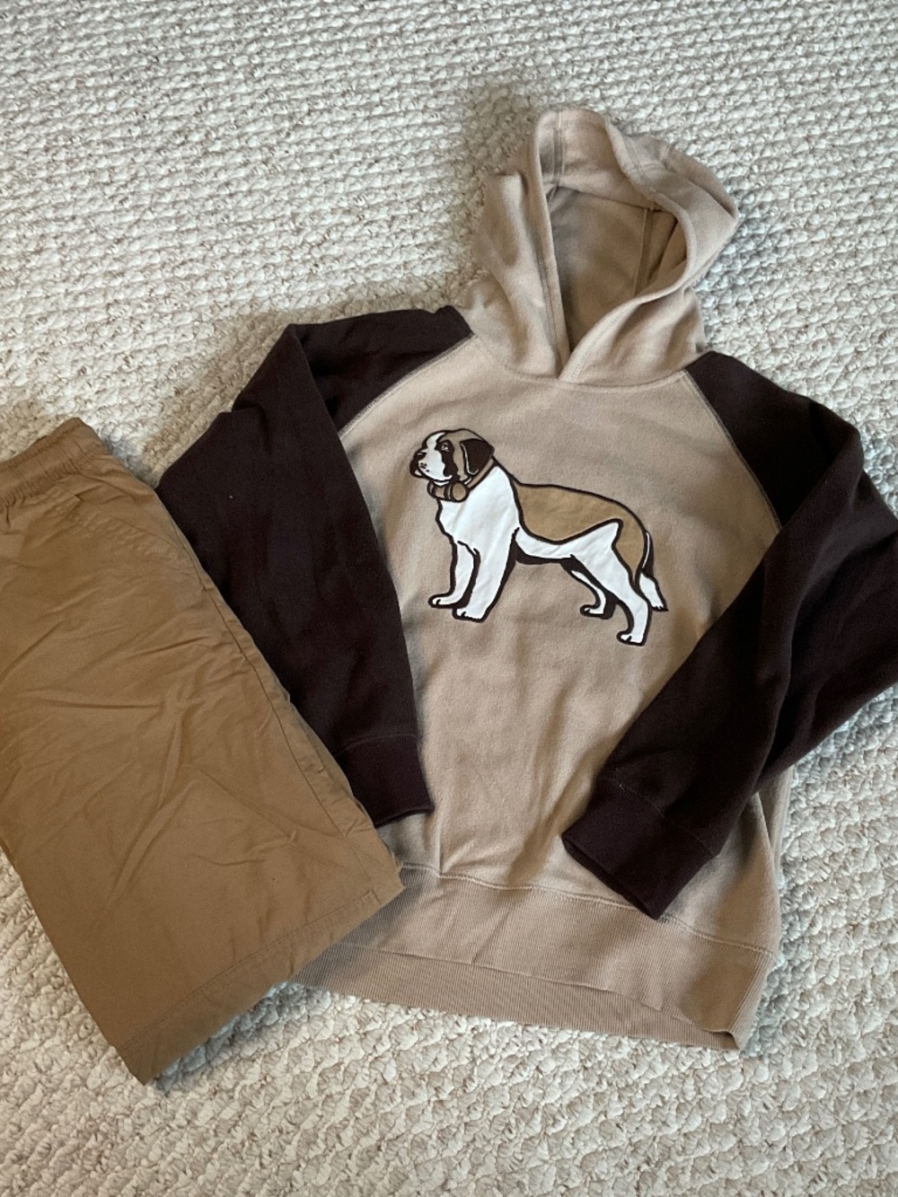 🐶 Gymboree lot - fleece hoodie and fleece pants